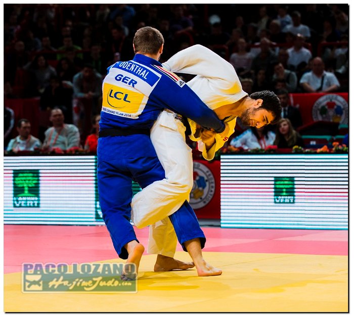 Paris 2014 by P.Lozano cat -90 kg_PLM5221